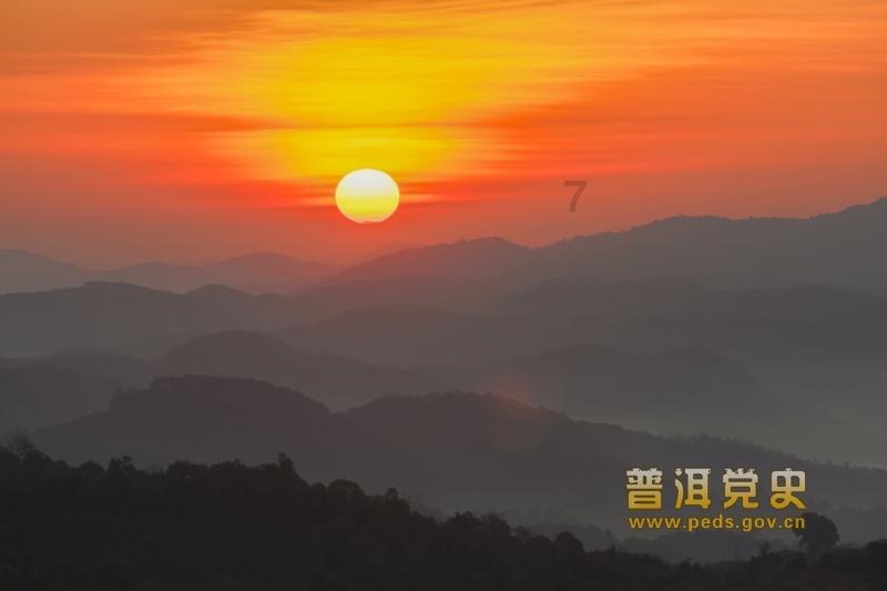 救援小孔雀
