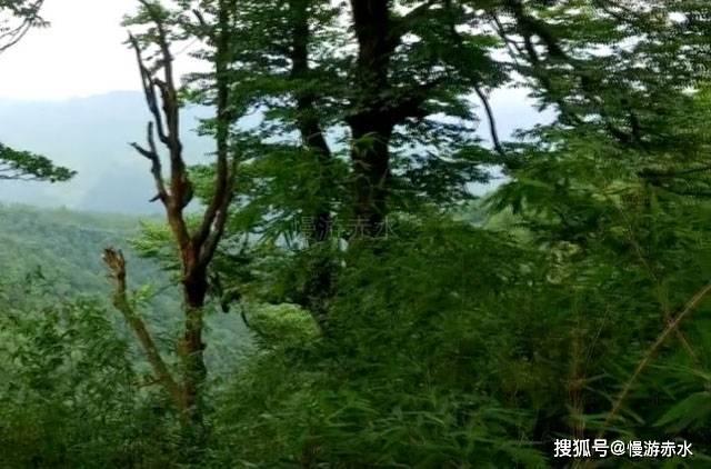 凛冬遗迹玩法:传奇霸主中蓝月传奇的奥秘