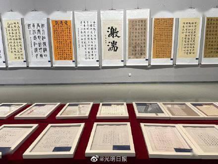 五彩鹦鹉救援